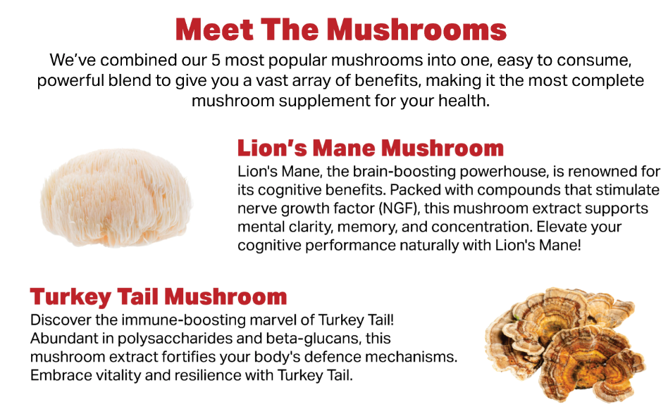 Complete Mushroom Complex Capsules