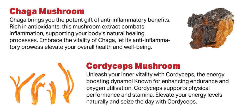 Complete Mushroom Complex Capsules