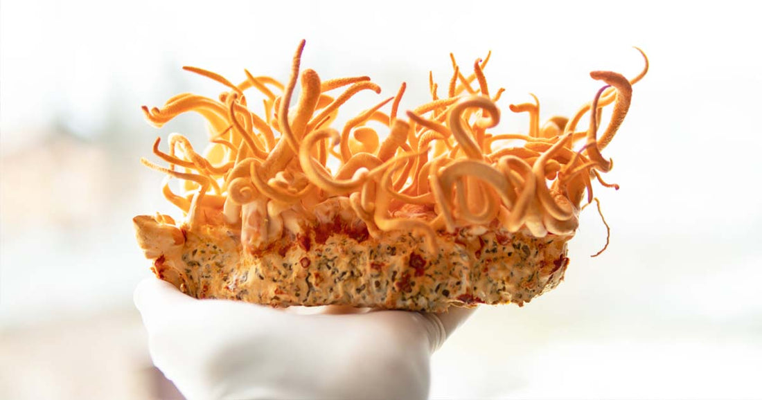 Cordyceps Mushroom - Energy Boosting, Vegan Goodness
