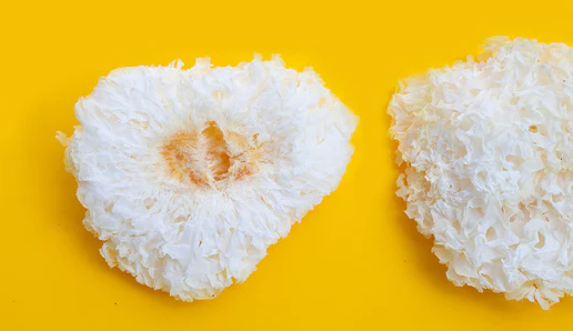 Tremella Mushroom - The Fountain of Youth