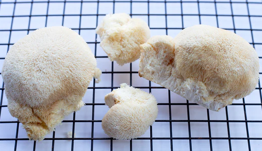 How Lion's Mane Mushroom Can Help Manage ADHD