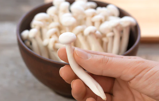 Exploring the Health Wonders of Enoki Mushrooms